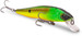 Wobler IC DOIYO Independent Swim