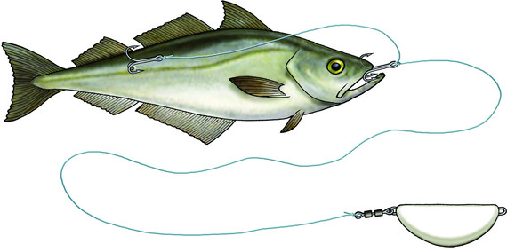 Zestaw do zbrojenia martwej rybki Westin Halibut Anti Twist