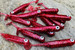 Guma spinningowa Great Fish GF1