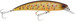 Wobler Berkley Dex Bullet Jerk