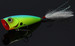 Wobler Daiwa Steez Popper