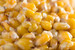 Kukurydza Mivardi Corn